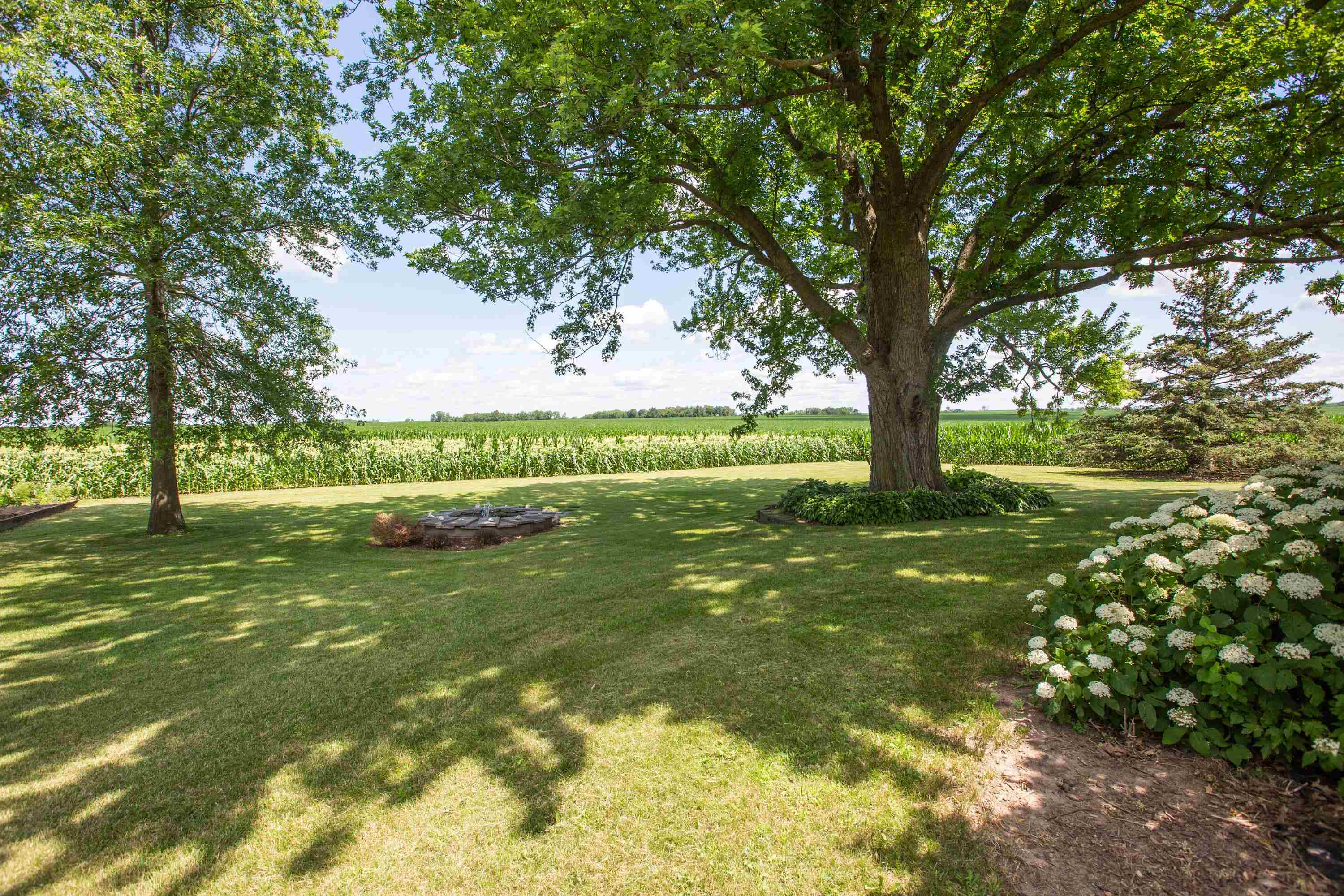 17092 Blackhawk Road Shullsburg, WI 53586 - Photo 39 of 50 a view of backyard with green space
