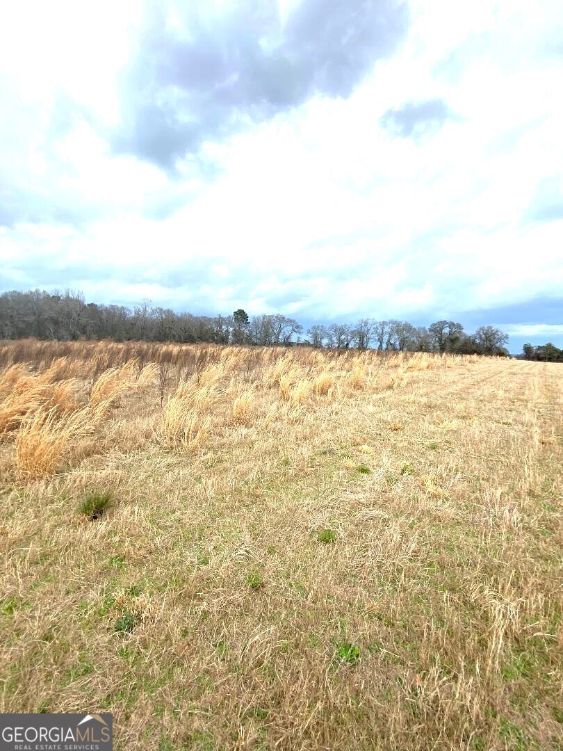 0 Allen Ranch Road Chester, GA 31012 - Photo 2 of 6