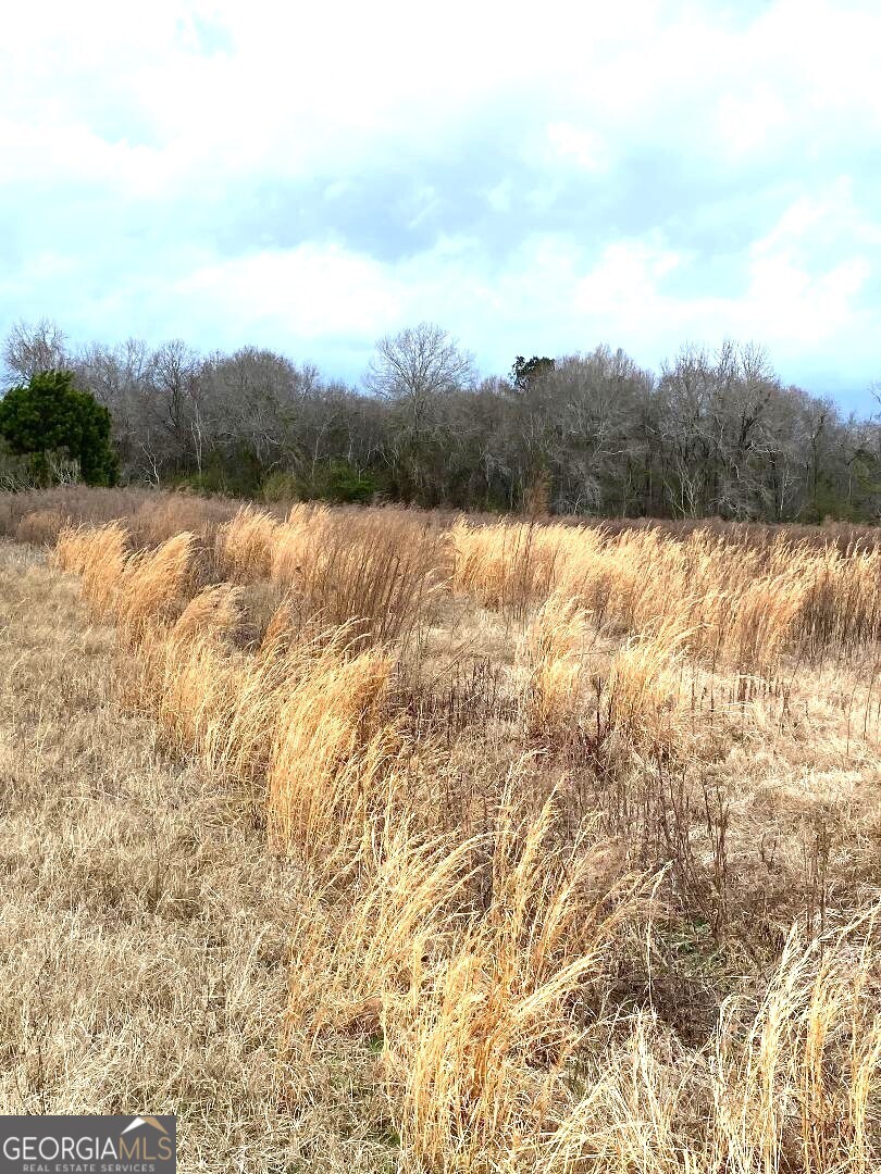 0 Allen Ranch Road Chester, GA 31012 - Photo 3 of 6 a view of lake