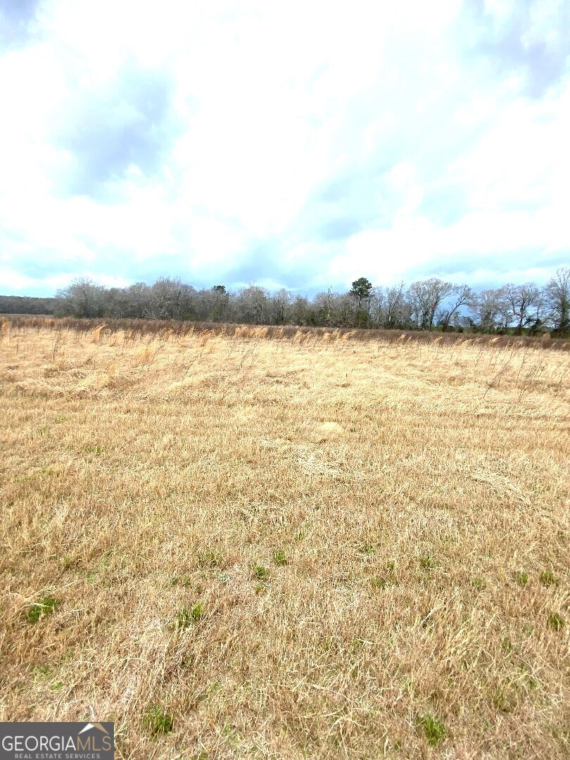 0 Allen Ranch Road Chester, GA 31012 - Photo 6 of 6 a view of an ocean