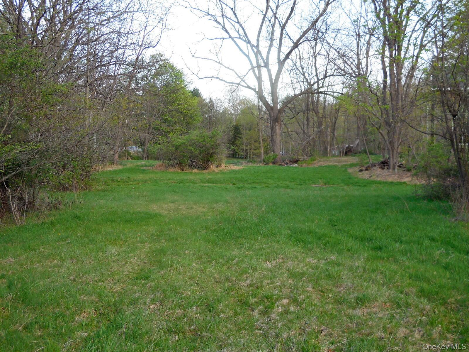 617 Burlingham Road Bloomingburg, NY 12721 - Photo 31 of 39 Back yard extends 560+' from the road back.