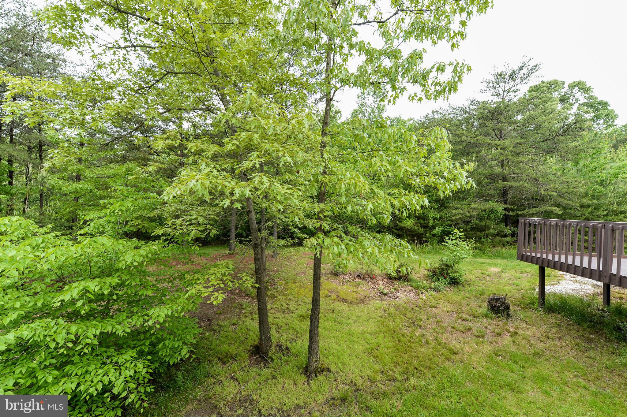 2997 Old Elk Neck Road Elkton, MD 21921 - Photo 20 of 24 Exterior (Rear)