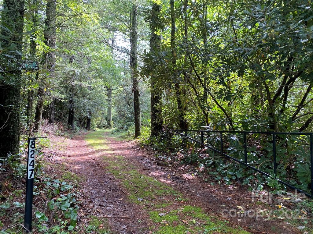 8247 Joe Poore Road Newland, NC 28657 - Photo 9 of 27 Gallery Image 9