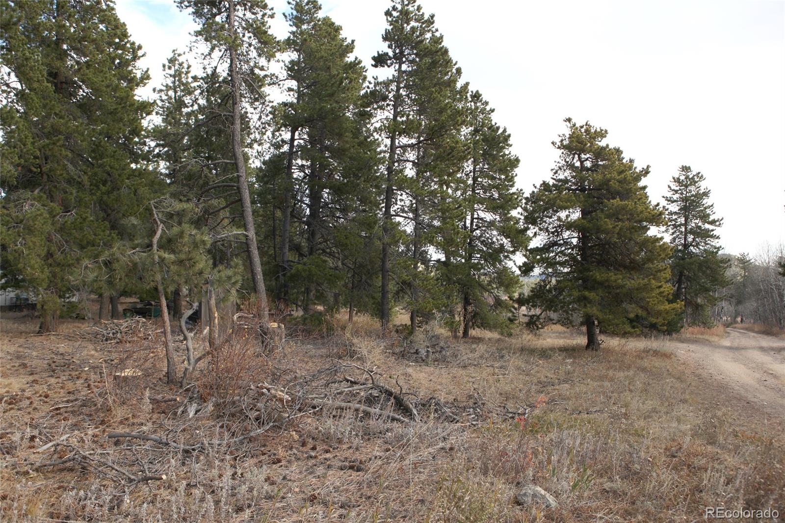 Lazy Z Road Nederland, CO 80466 - Photo 11 of 20 Gallery Image 11