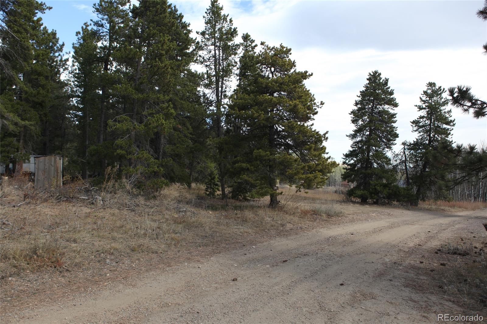 Lazy Z Road Nederland, CO 80466 - Photo 12 of 20 Gallery Image 12