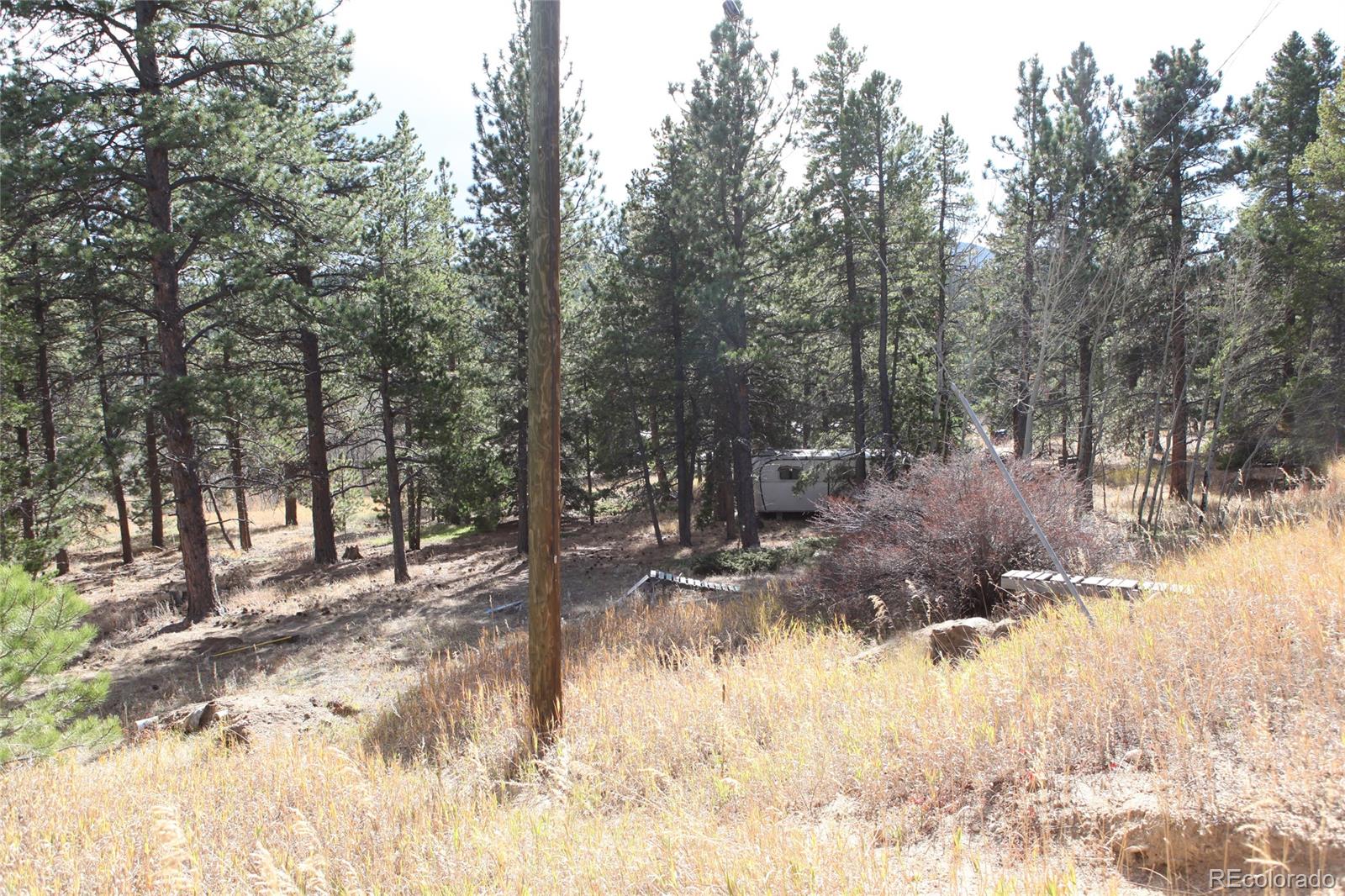 Lazy Z Road Nederland, CO 80466 - Photo 14 of 20 Gallery Image 14