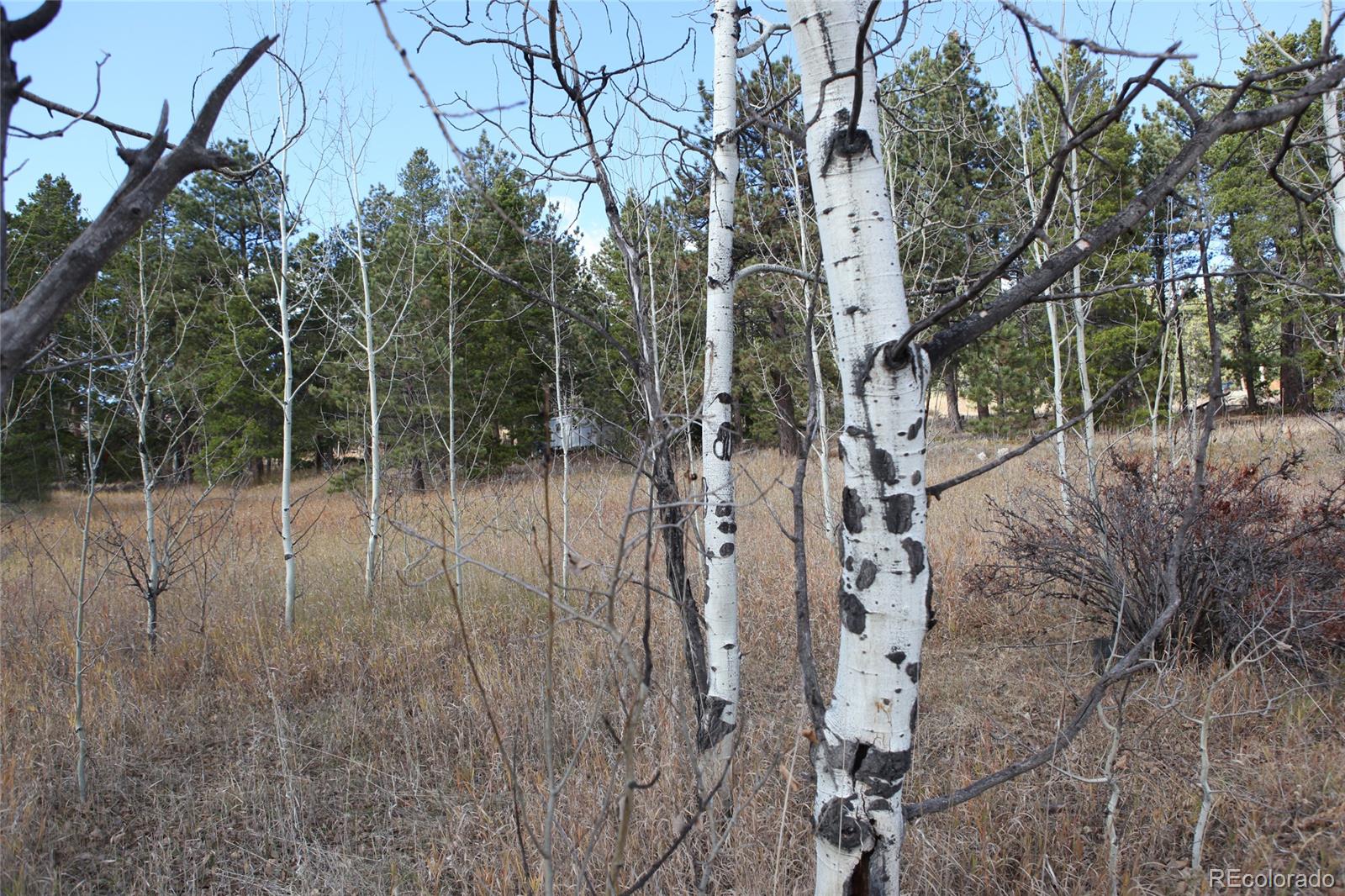 Lazy Z Road Nederland, CO 80466 - Photo 16 of 20 Gallery Image 16