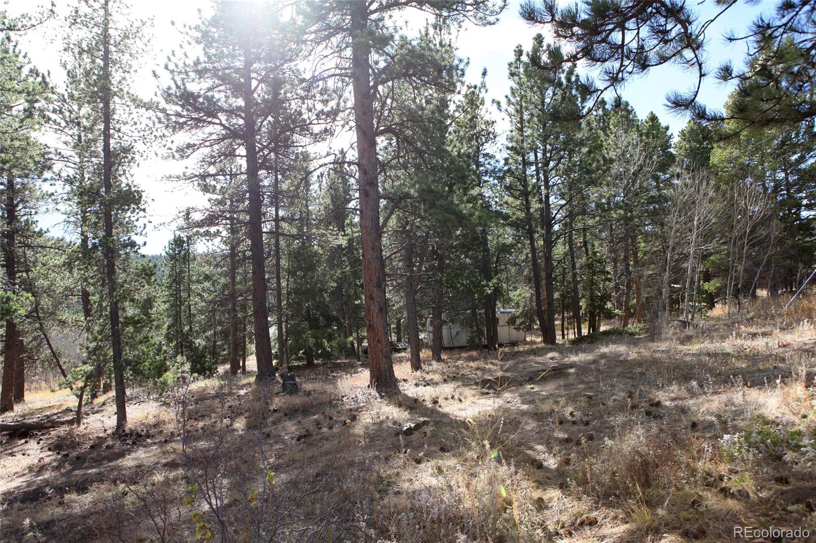 Lazy Z Road Nederland, CO 80466 - Photo 17 of 20 Gallery Image 17