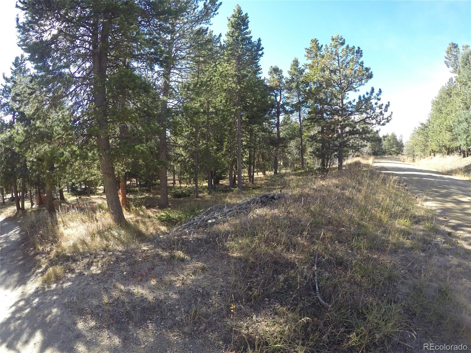 Lazy Z Road Nederland, CO 80466 - Photo 19 of 20 Gallery Image 19