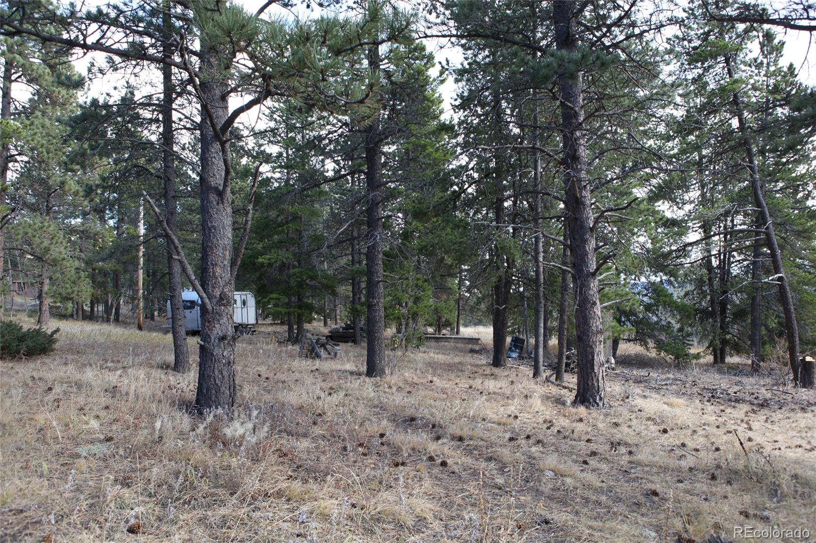 Lazy Z Road Nederland, CO 80466 - Photo 8 of 20 Gallery Image 8