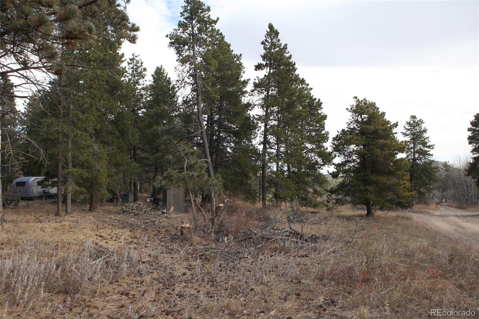 Lazy Z Road Nederland, CO 80466 - Photo 10 of 20 Gallery Image 10