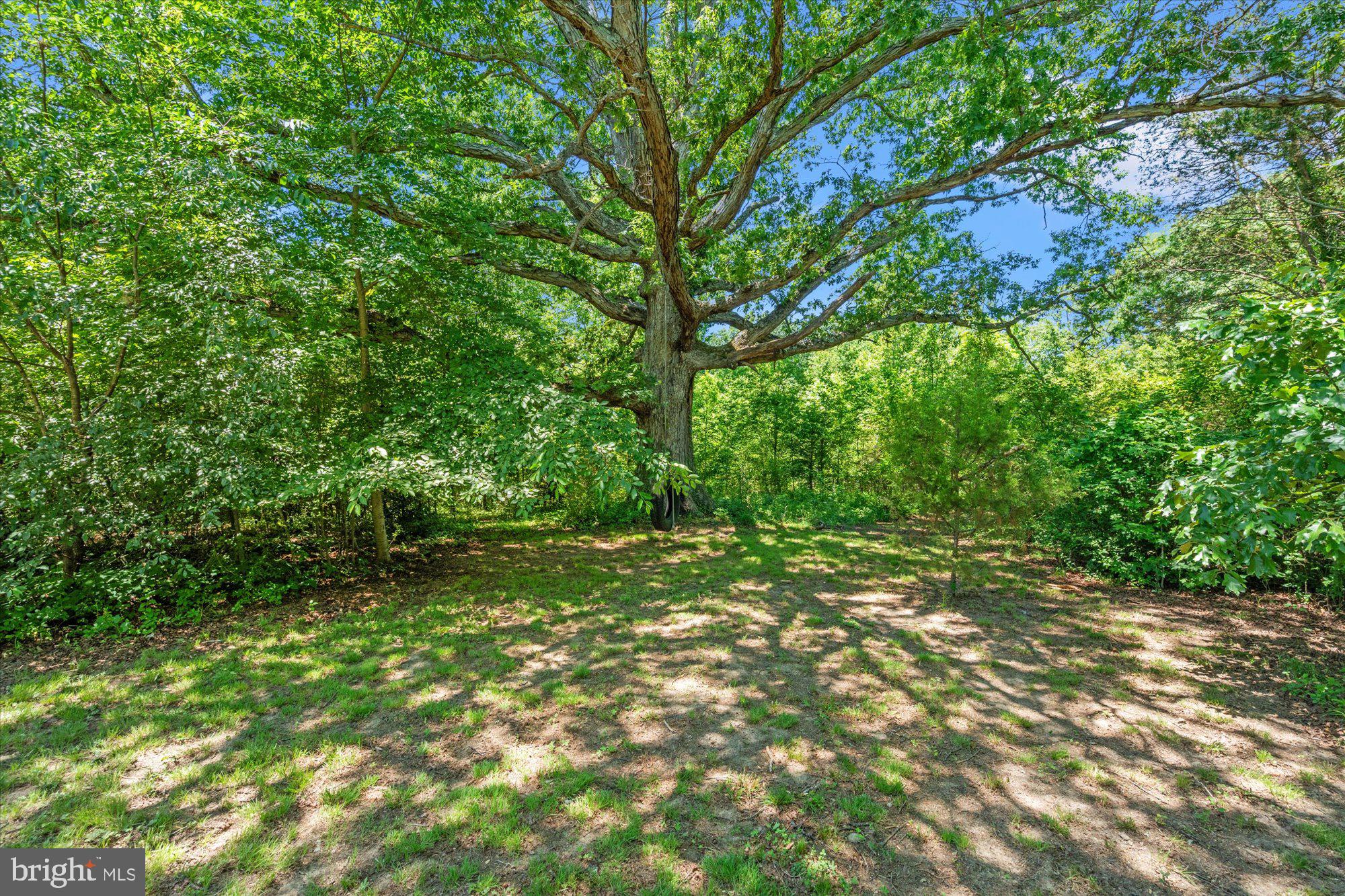 4730 Bicknell Road Marbury, MD 20658 - Photo 65 of 70