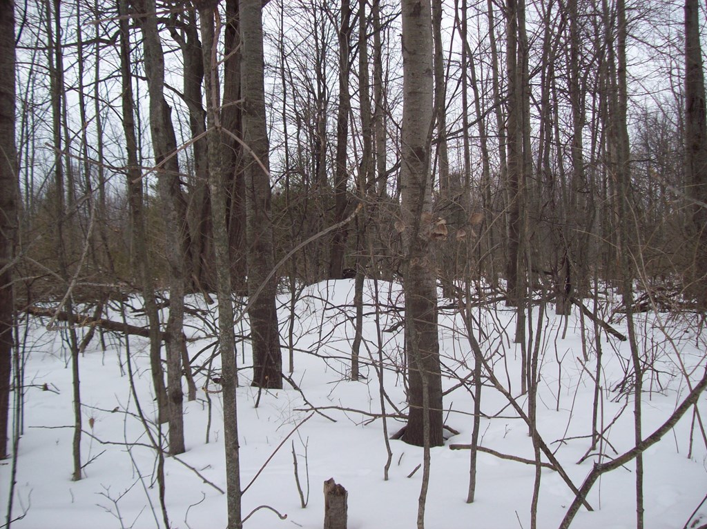 Rainbow Ridge Egg Harbor, WI 54209 - Photo 3 of 4