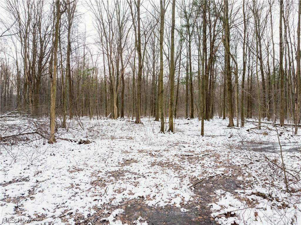 Slater Road Williamsfield, OH 44093 - Photo 14 of 14