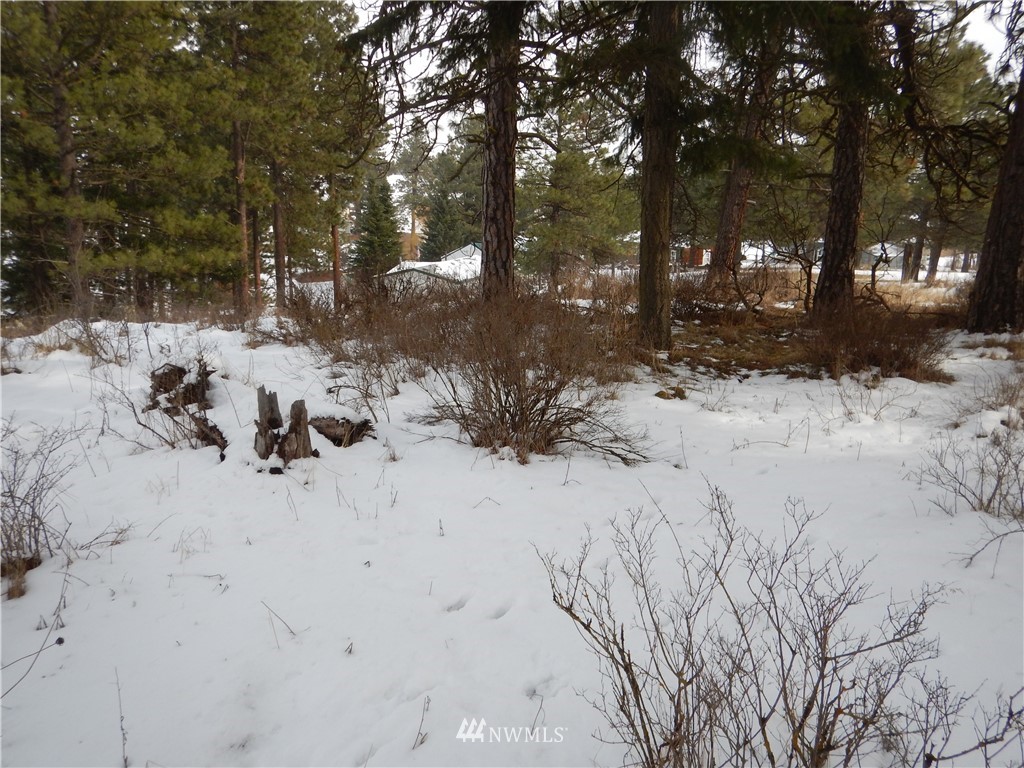 13 Ridge Loop Road Cle Elum, WA 98922 - Photo 2 of 14 Gallery Image 2