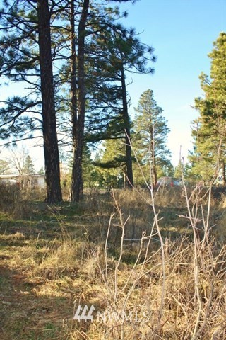 13 Ridge Loop Road Cle Elum, WA 98922 - Photo 13 of 14 Gallery Image 13