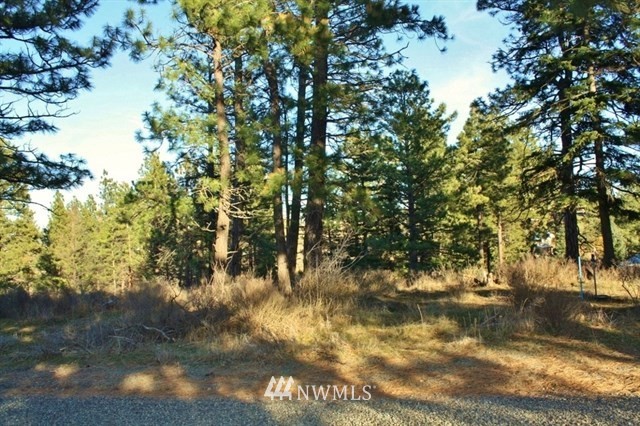 13 Ridge Loop Road Cle Elum, WA 98922 - Photo 3 of 14 Gallery Image 3
