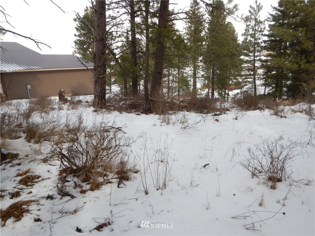 13 Ridge Loop Road Cle Elum, WA 98922 - Photo 4 of 14 Gallery Image 4