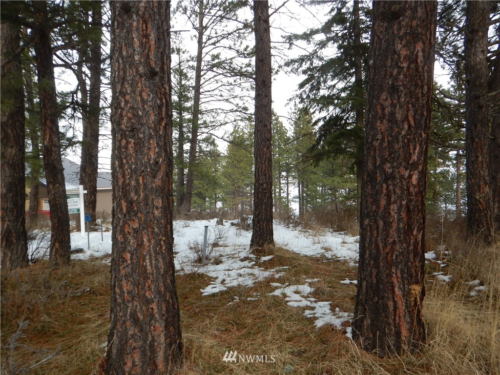 13 Ridge Loop Road Cle Elum, WA 98922 - Photo 6 of 14 Gallery Image 6