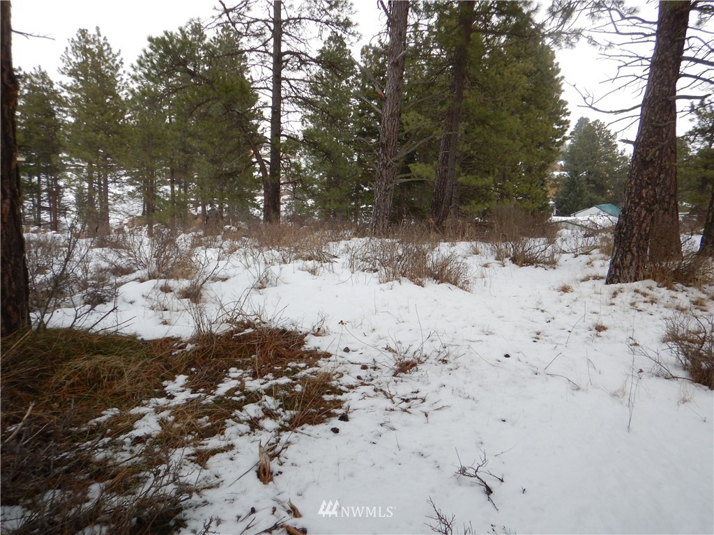 13 Ridge Loop Road Cle Elum, WA 98922 - Photo 7 of 14 Gallery Image 7