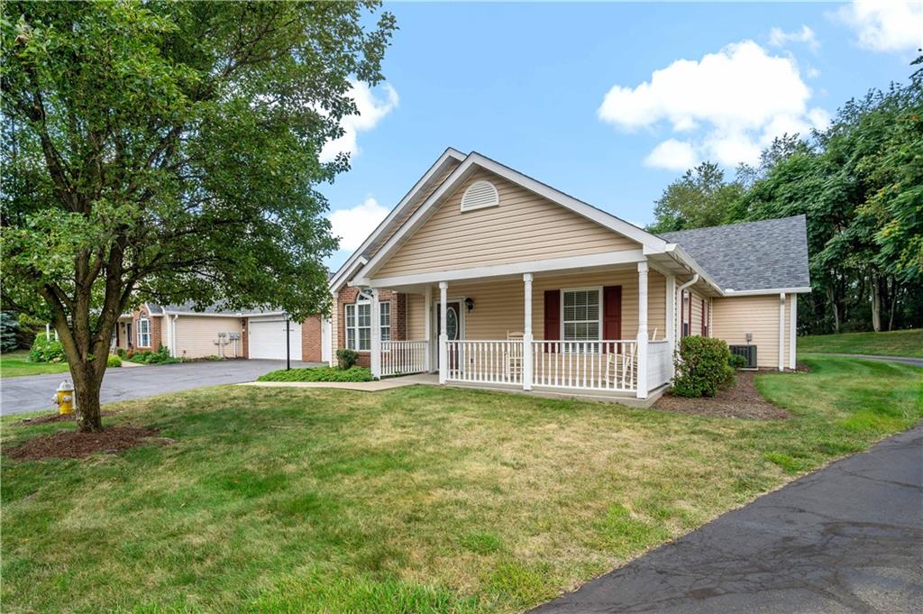 a view of a yard in front of a house with plants and large tree