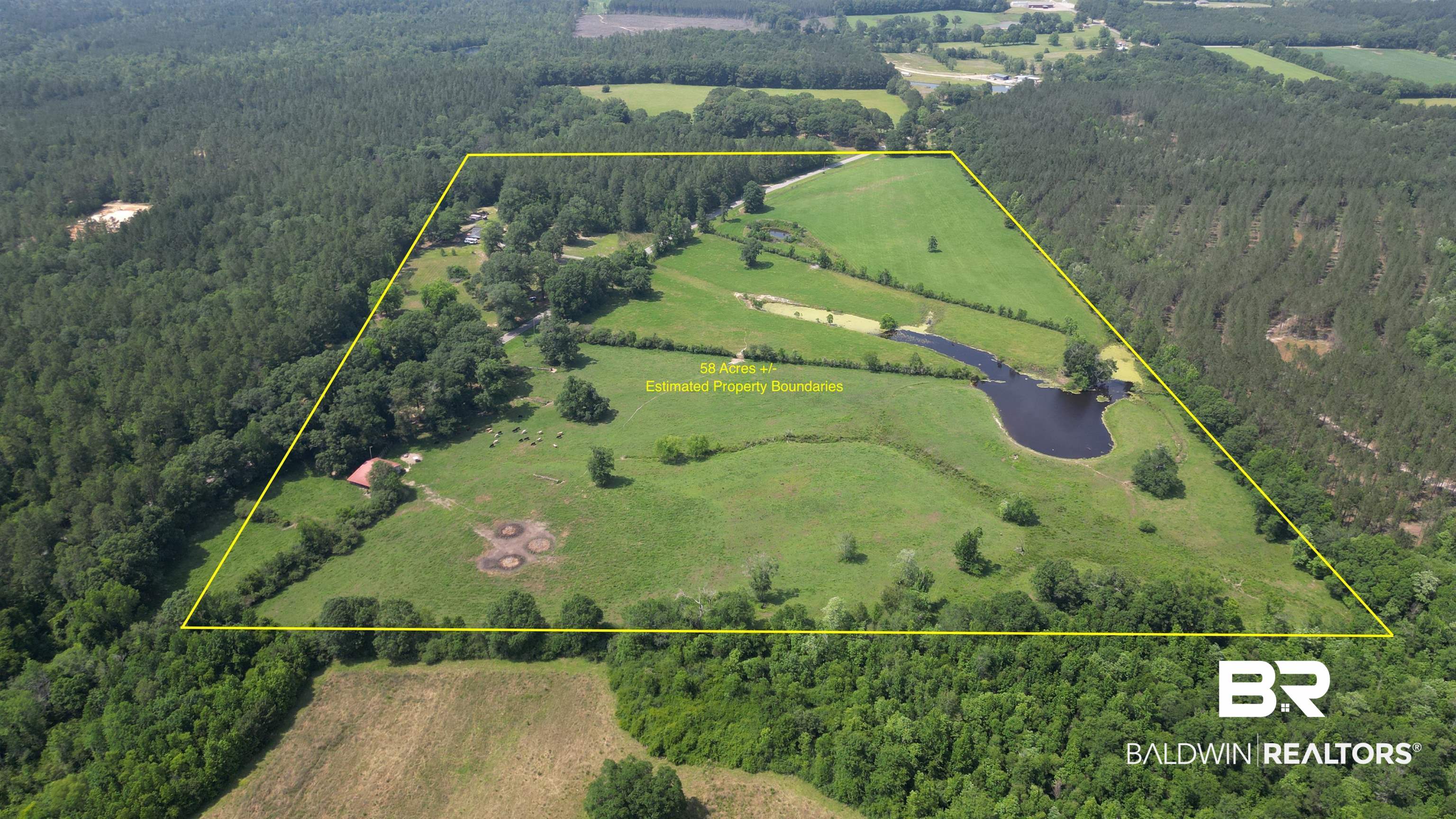 5182 Millry Buckatunna Road Millry, AL 36558 - Photo 3 of 50