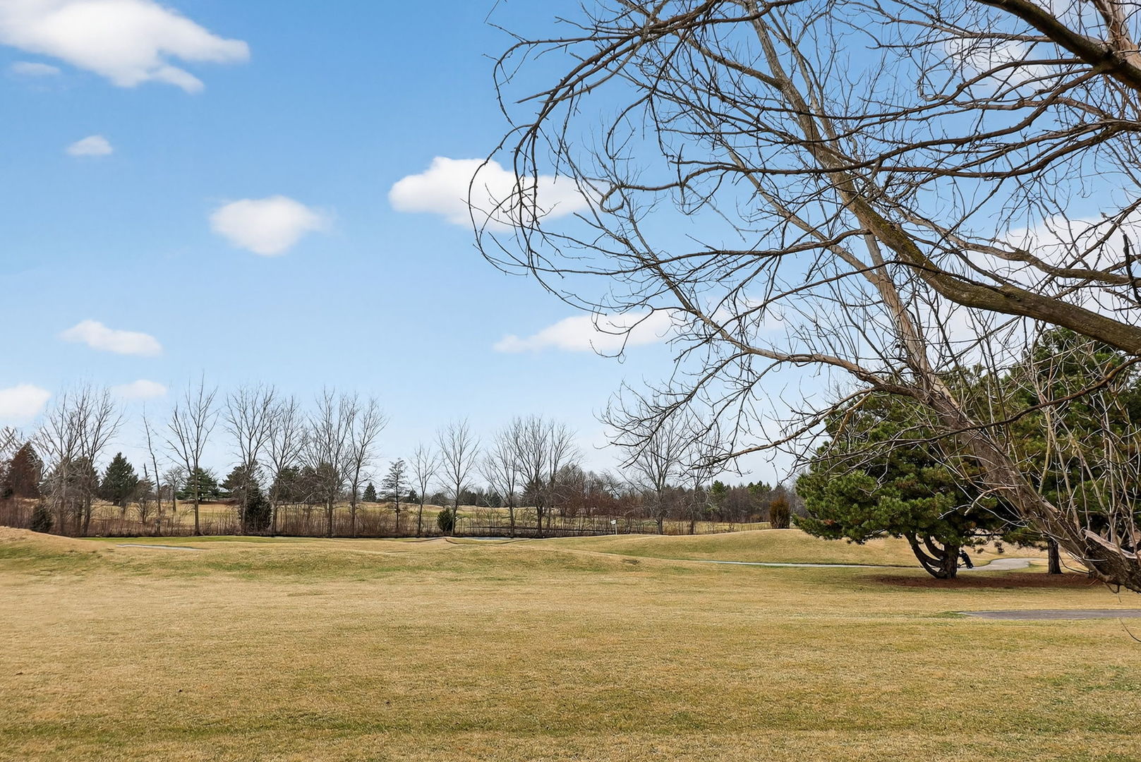 1 Crenshaw Court Bolingbrook, IL 60490 - Photo 53 of 56