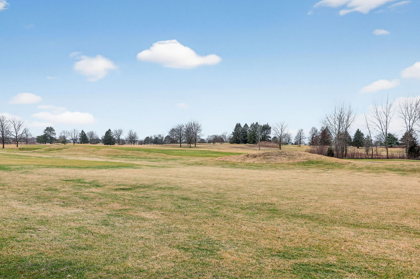 1 Crenshaw Court Bolingbrook, IL 60490 - Photo 54 of 56