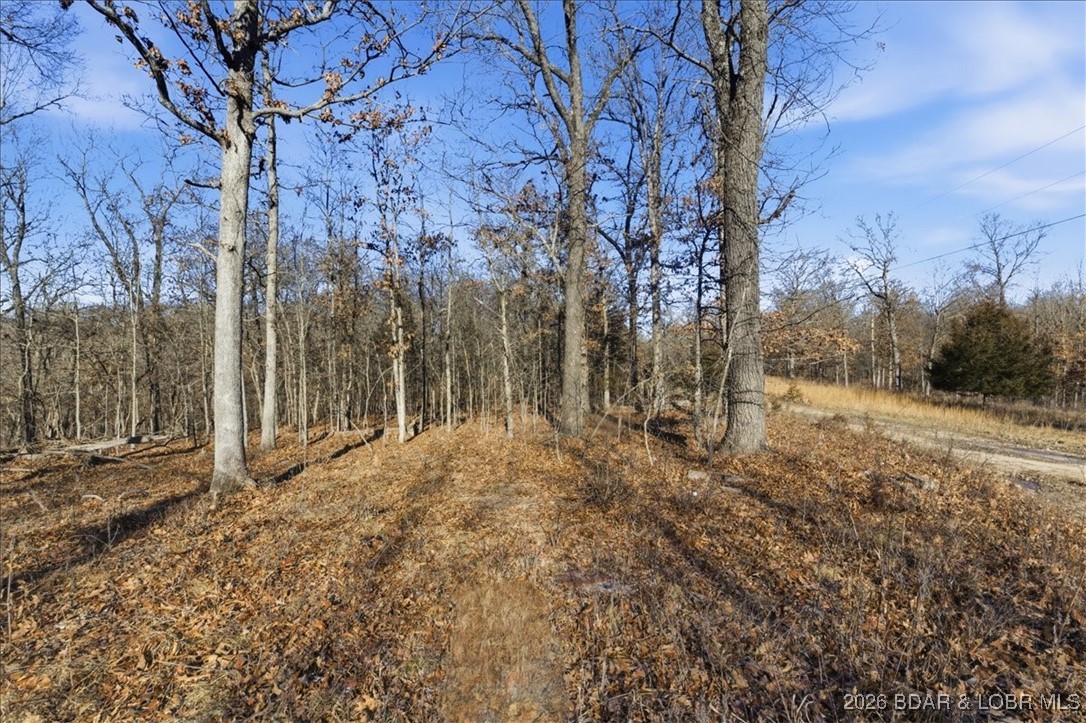 23119 Fresno Road Versailles, MO 65084 - Photo 12 of 20