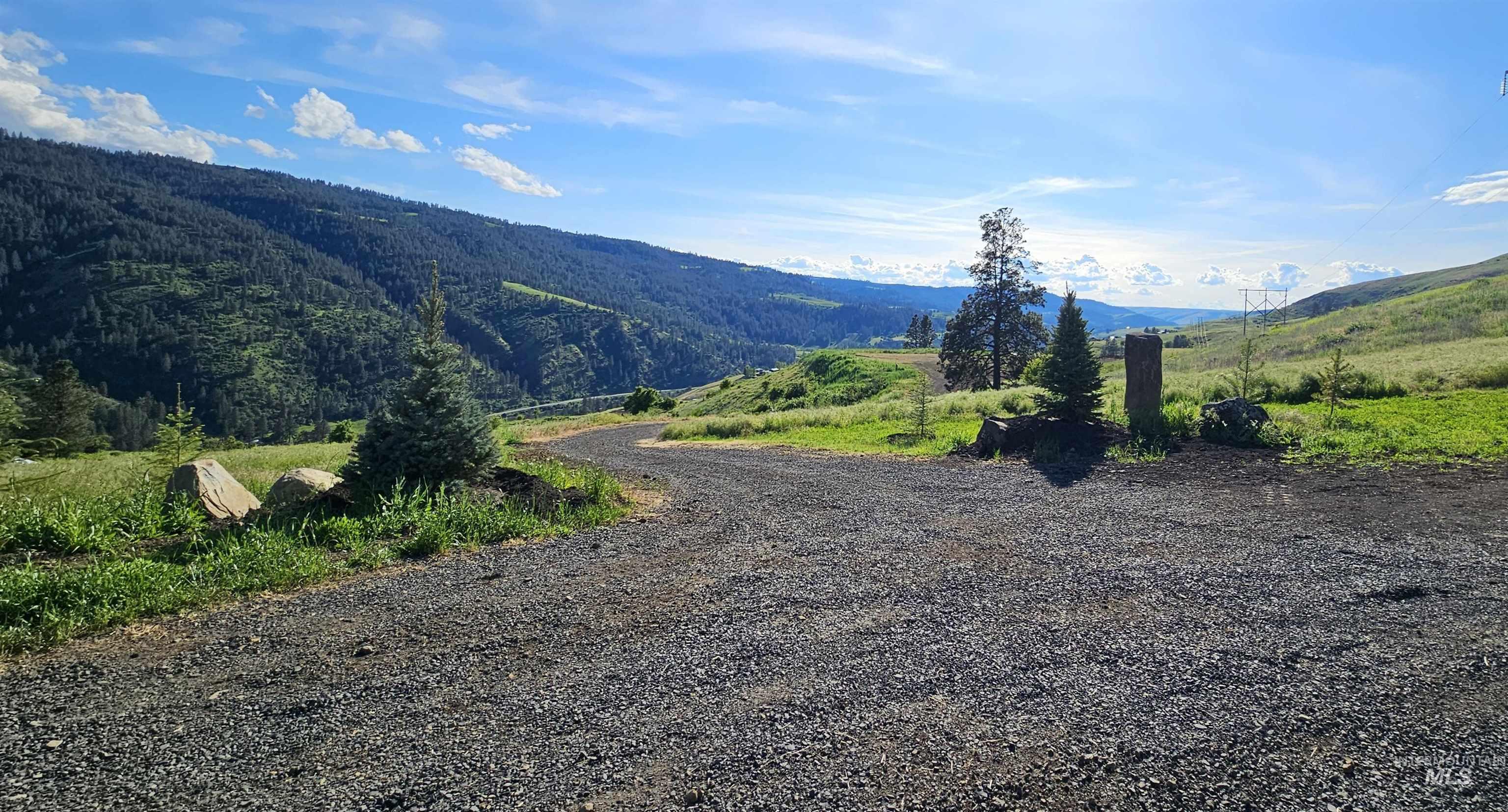 Tbd Lot 5 Tbd Lane Lenore, ID 83541 - Photo 5 of 31