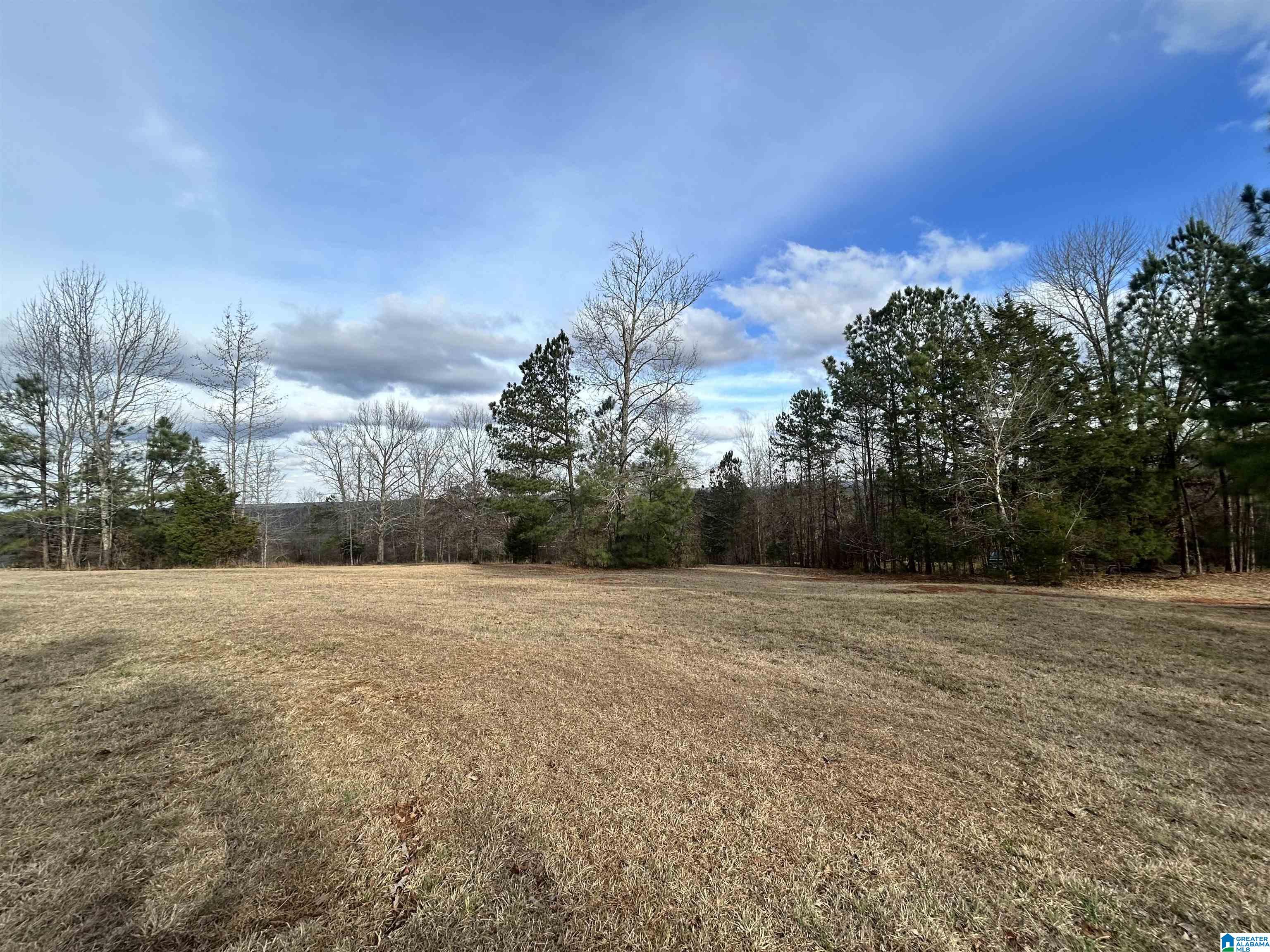 1332 Blackjack Road Trussville, AL 35173 - Photo 1 of 5