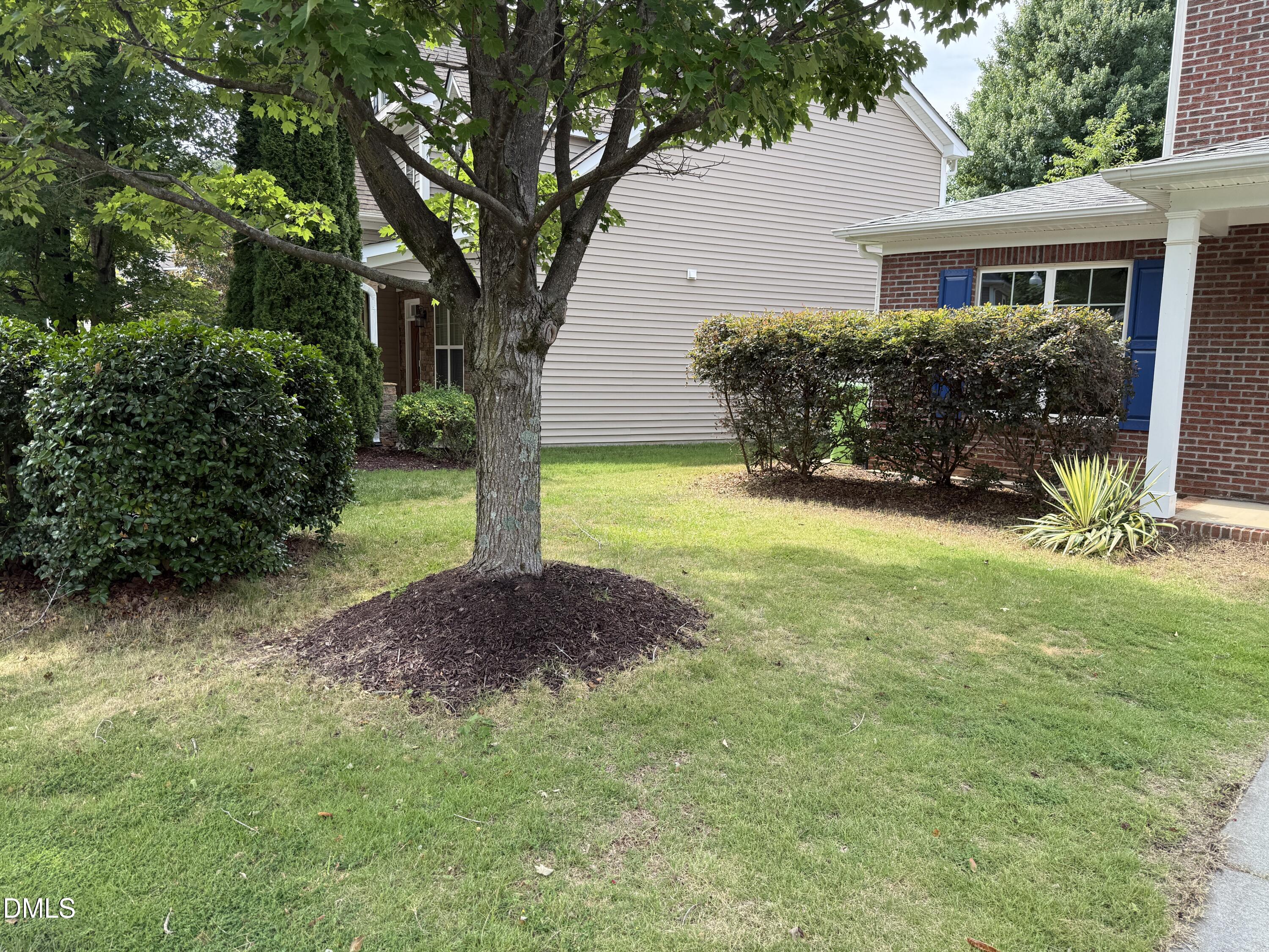 3837 Cumberland Pond Road Raleigh, NC 27606 - Photo 5 of 27 side front yard