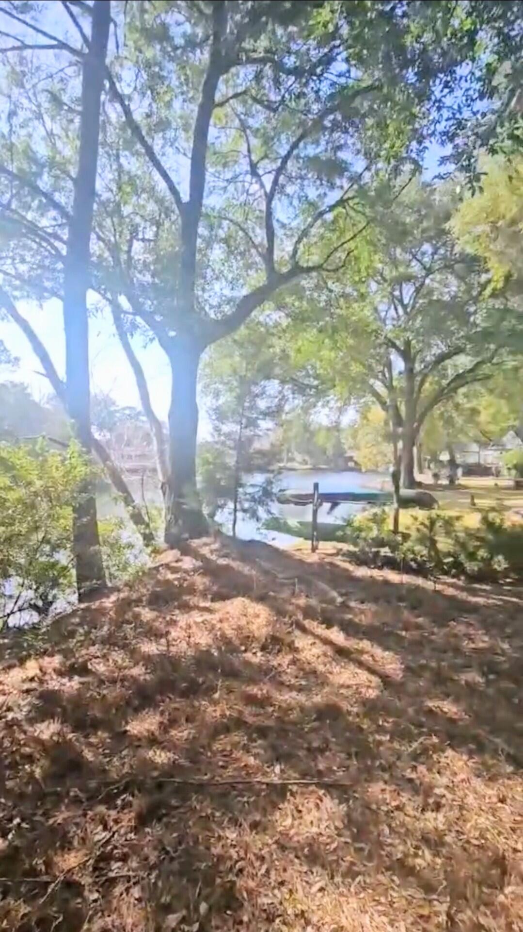 301 7th Avenue Mount Pleasant, SC 29464 - Photo 5 of 8 1000005928