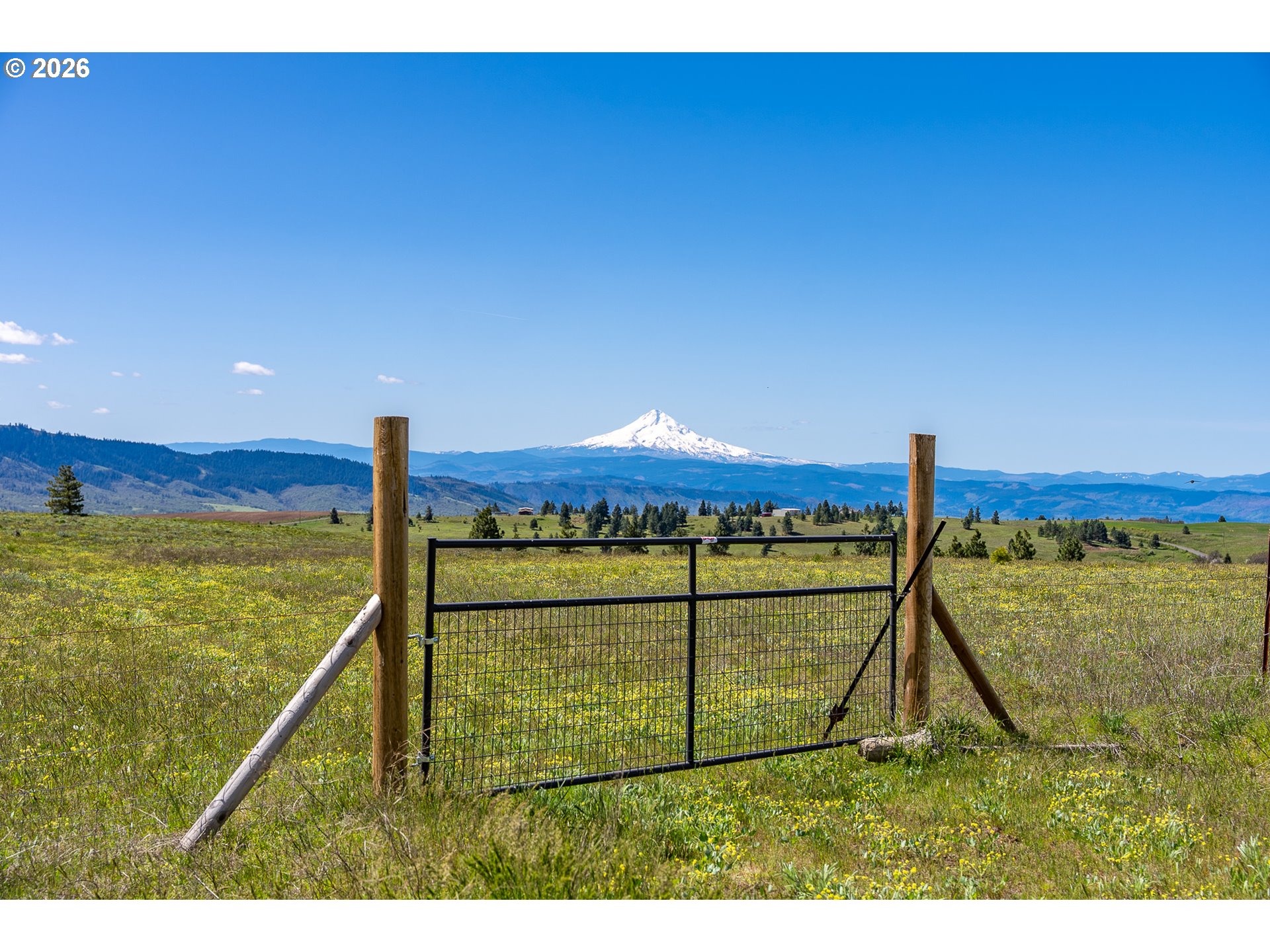 Morris Road Lyle, WA 98635 - Photo 13 of 45