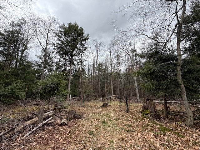 Pritchard Road Springville, NY 14141 - Photo 7 of 23