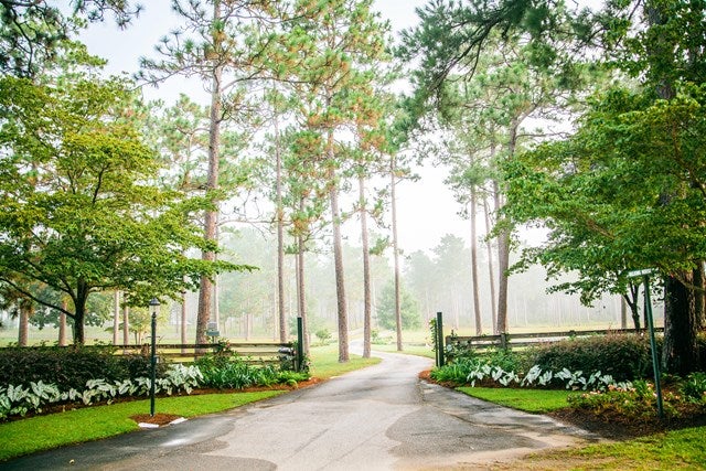 5808-3 McDonald Road Hahira, GA 31632 - Photo 13 of 21 Gallery Image 13
