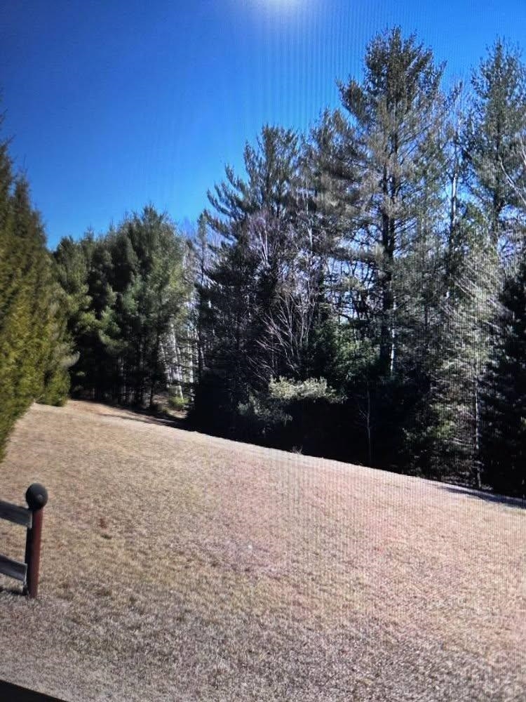 4151 Fraser Road Glennie, MI 48737 - Photo 8 of 21 1933404-06a80b35-2629-4492-8329-4b0313285cef.JPG