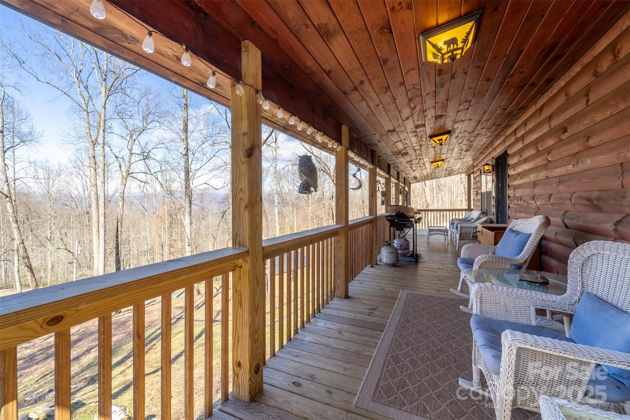 270 Overlook Road Bryson City, NC 28713 - Photo 33 of 43