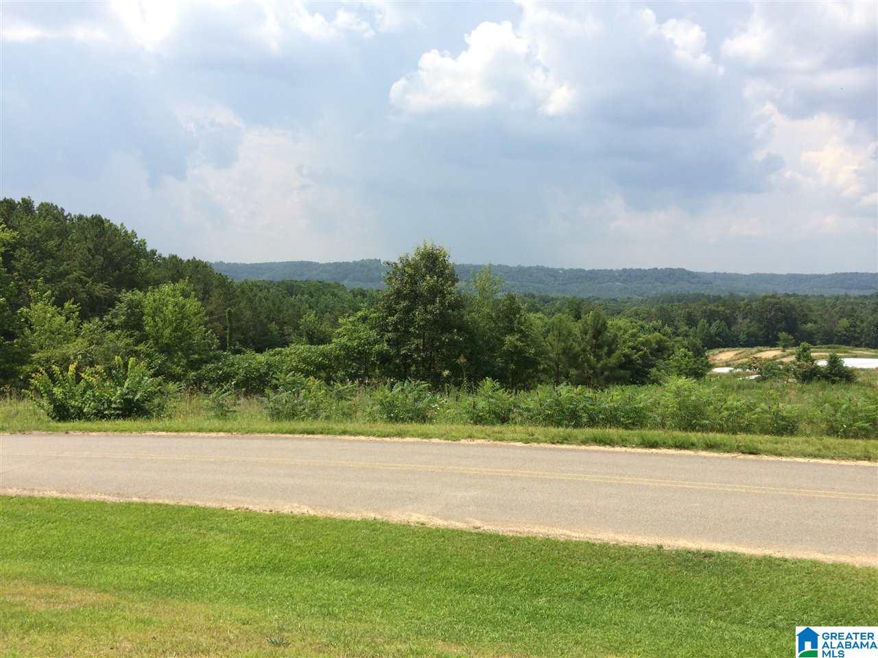 3495 Ebell Road Oneonta, AL 35121 - Photo 15 of 20