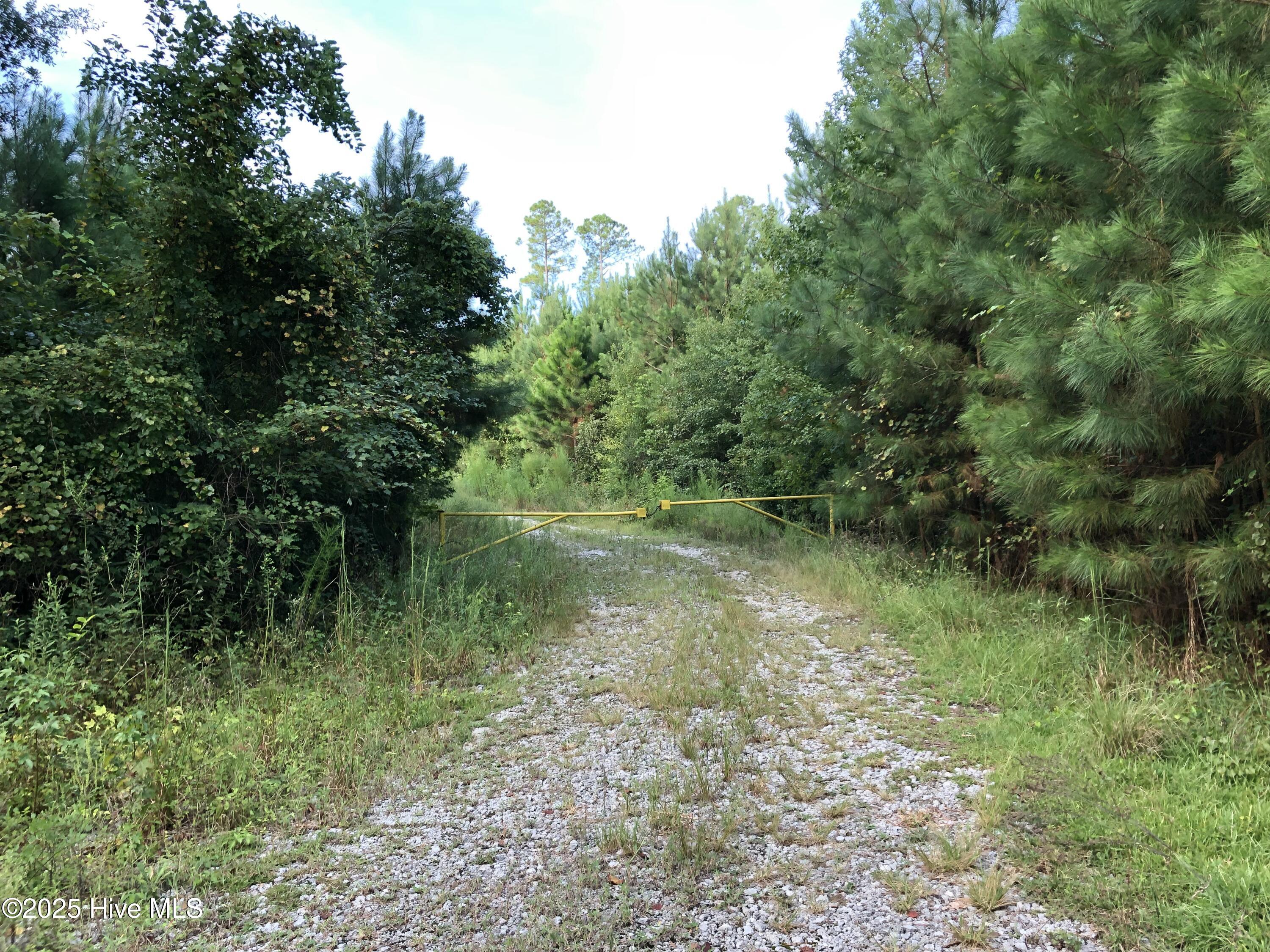 0 Off Plantation Road Trenton, NC 28585 - Photo 2 of 6 IMG_6733