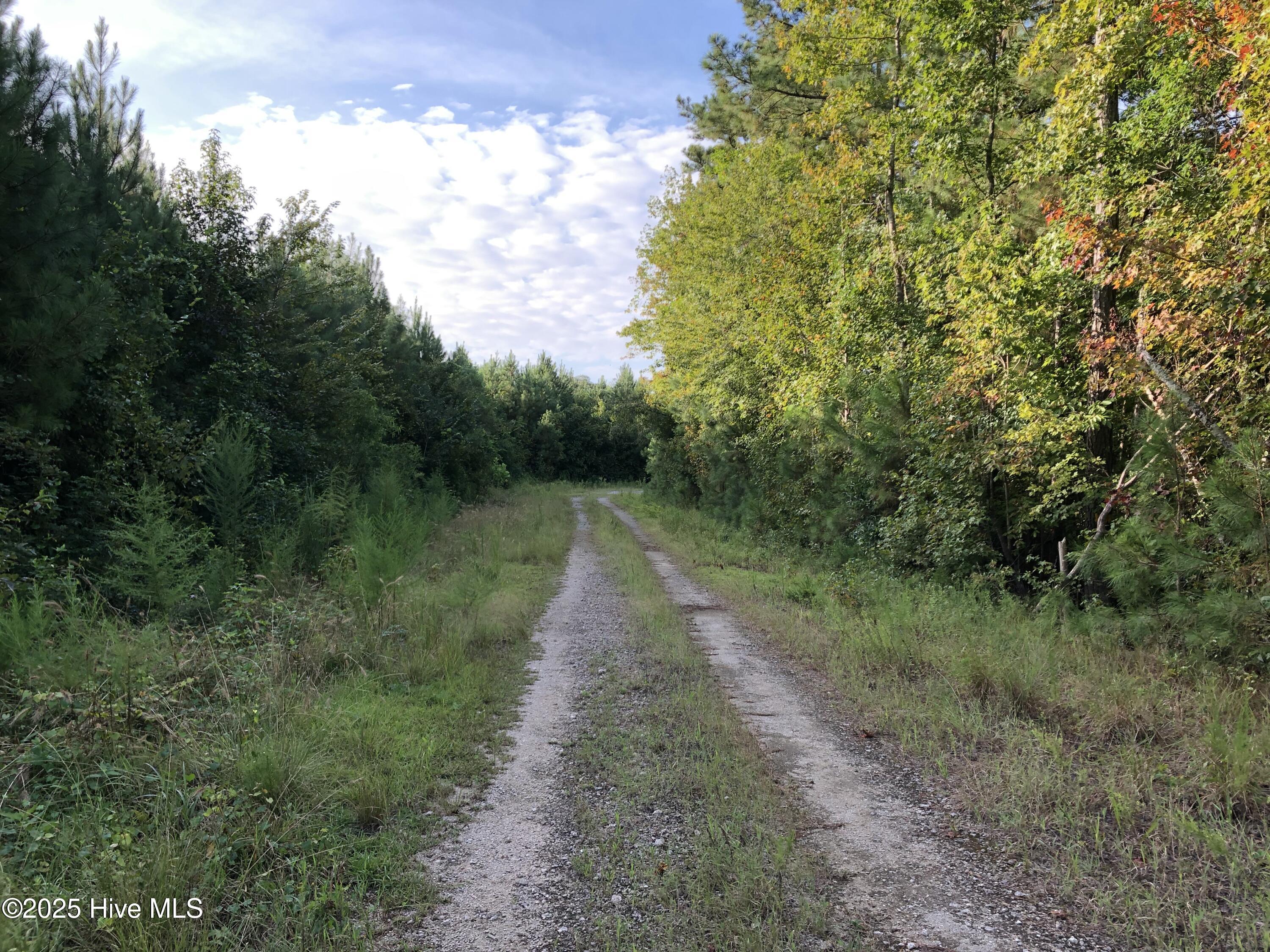 0 Off Plantation Road Trenton, NC 28585 - Photo 5 of 6 IMG_6729