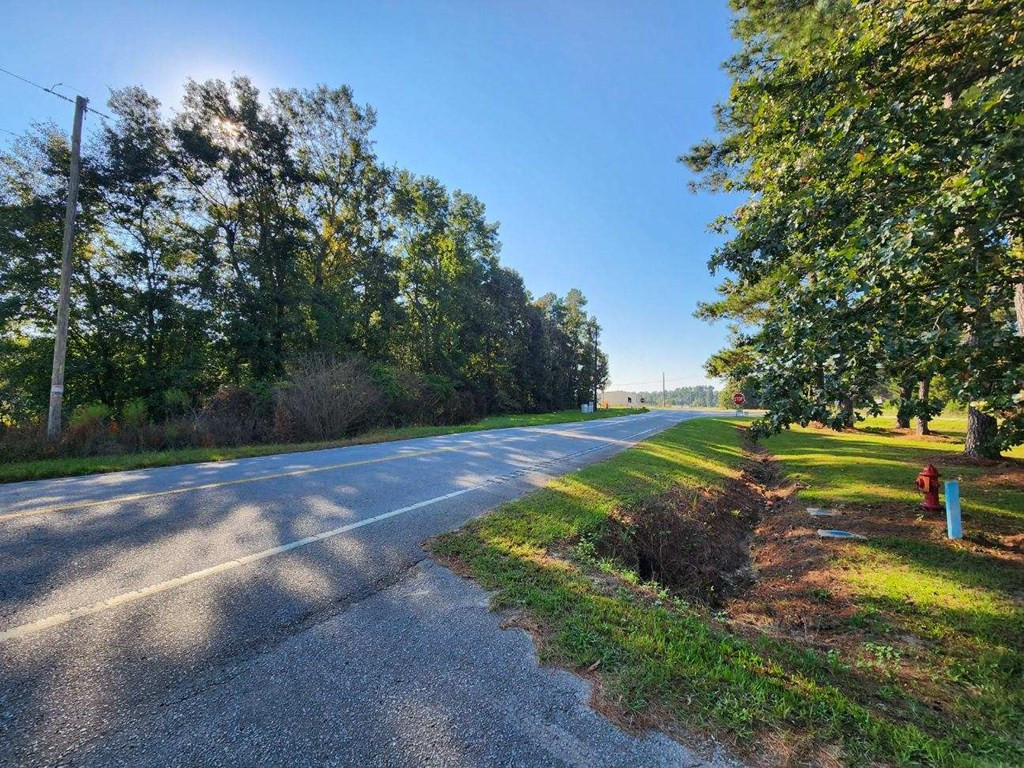 0 Hwy 6 & Tee Vee Road Elloree, SC 29047 - Photo 2 of 5