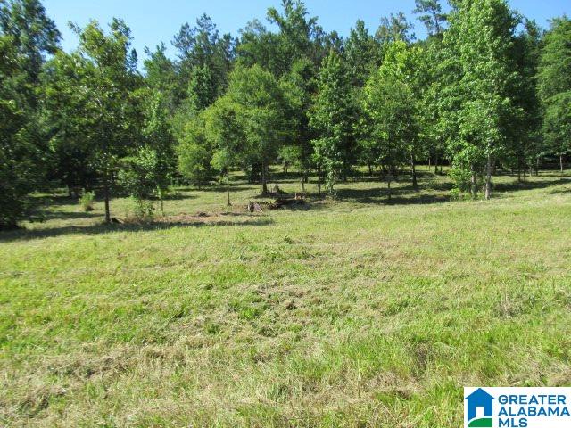 0 Choctaw Trail, Unit 10 Hayden, AL 35079 - Photo 21 of 24