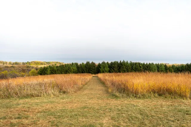 $425,000 | 30-ac 30-ac County Road, Barneveld, WI 53507