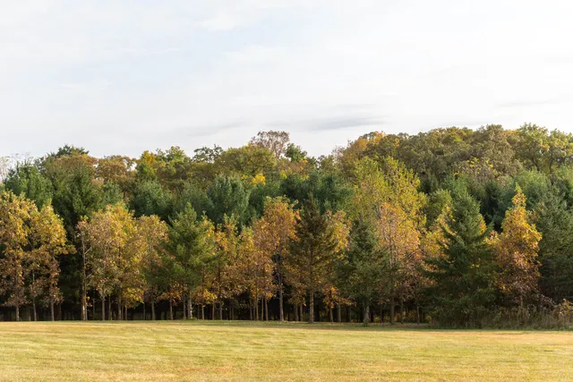 $425,000 | 30-ac 30-ac County Road, Barneveld, WI 53507