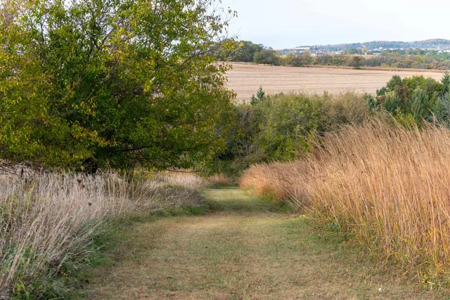 $425,000 | 30-ac 30-ac County Road, Barneveld, WI 53507