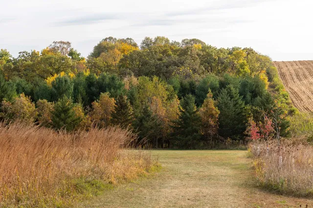 $425,000 | 30-ac 30-ac County Road, Barneveld, WI 53507
