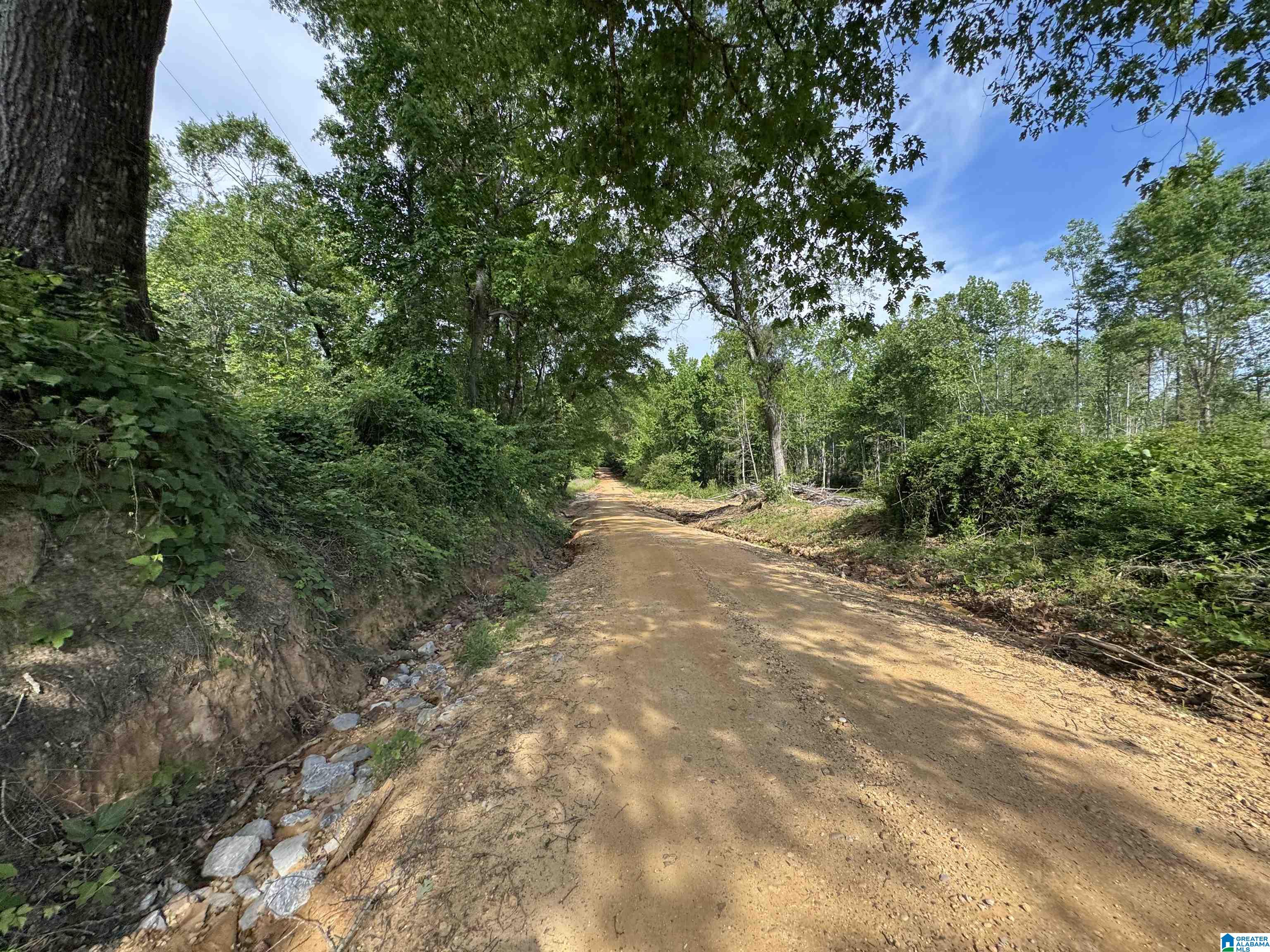 Active Road, Unit 4 Lawley, AL 36793 - Photo 2 of 12