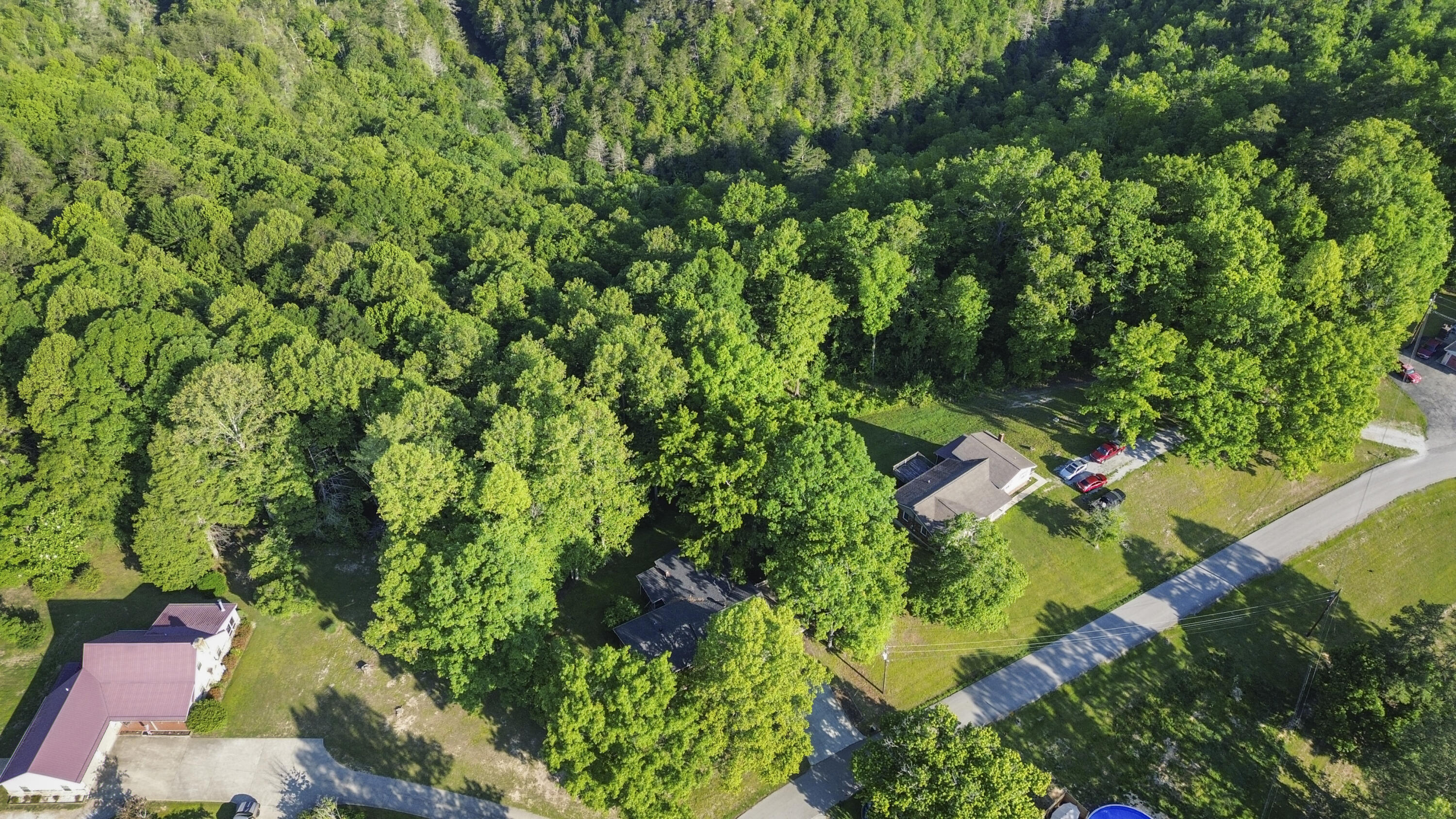 648 Murphy Ridge Road Stearns, KY 42647 - Photo 29 of 29 DJI_0262