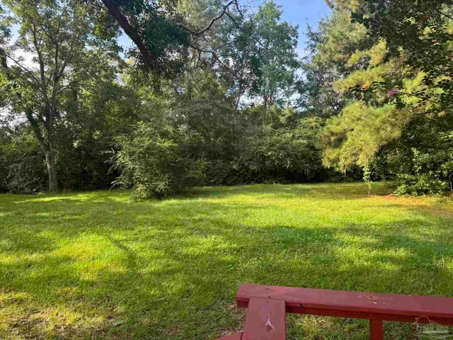 a view of a garden with a tree